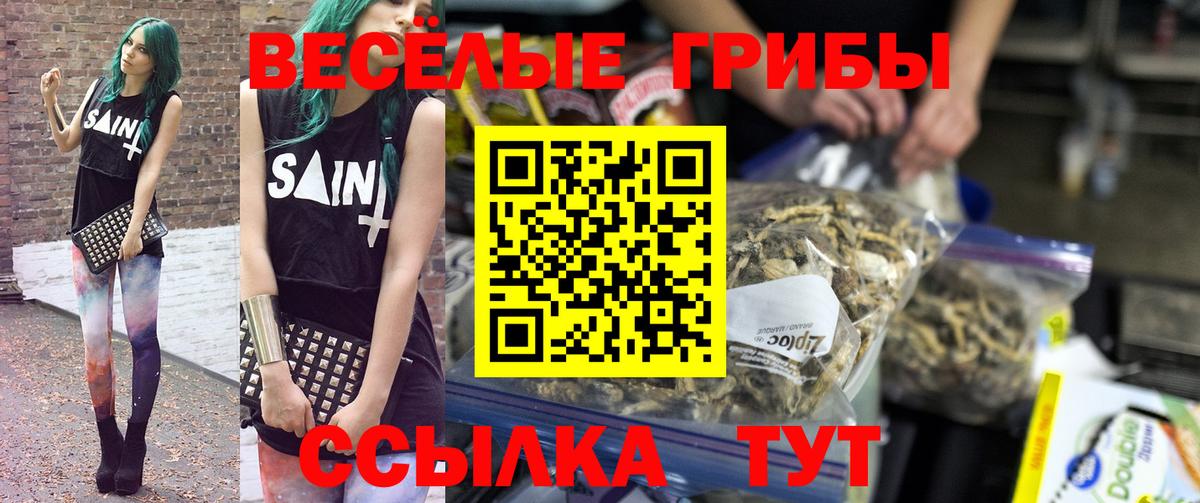 Галлюциногенные грибы Psilocybe  Вход с VPN  Железногорск 