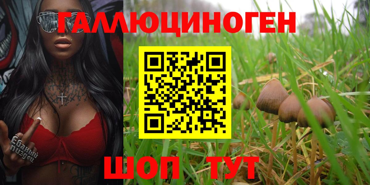 Псилоцибиновые грибы GOLDEN TEACHER Железногорск